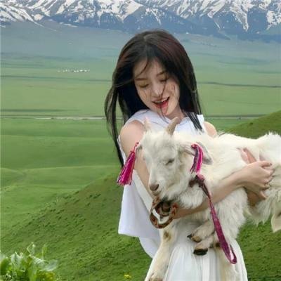 老妈上路 在线观看封面