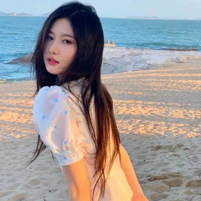灵书妙探第七季 在线观看封面